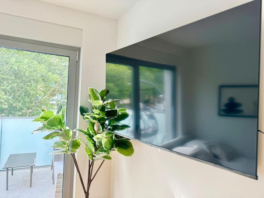 Rooftop Apartment With Balcony & Free Parking Wina Bagian luar foto